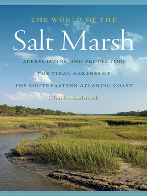 cover image of The World of the Salt Marsh